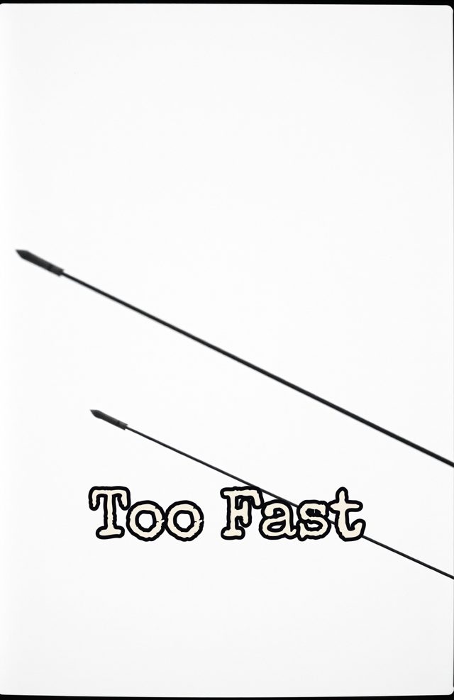 Flying Rods High-Speed