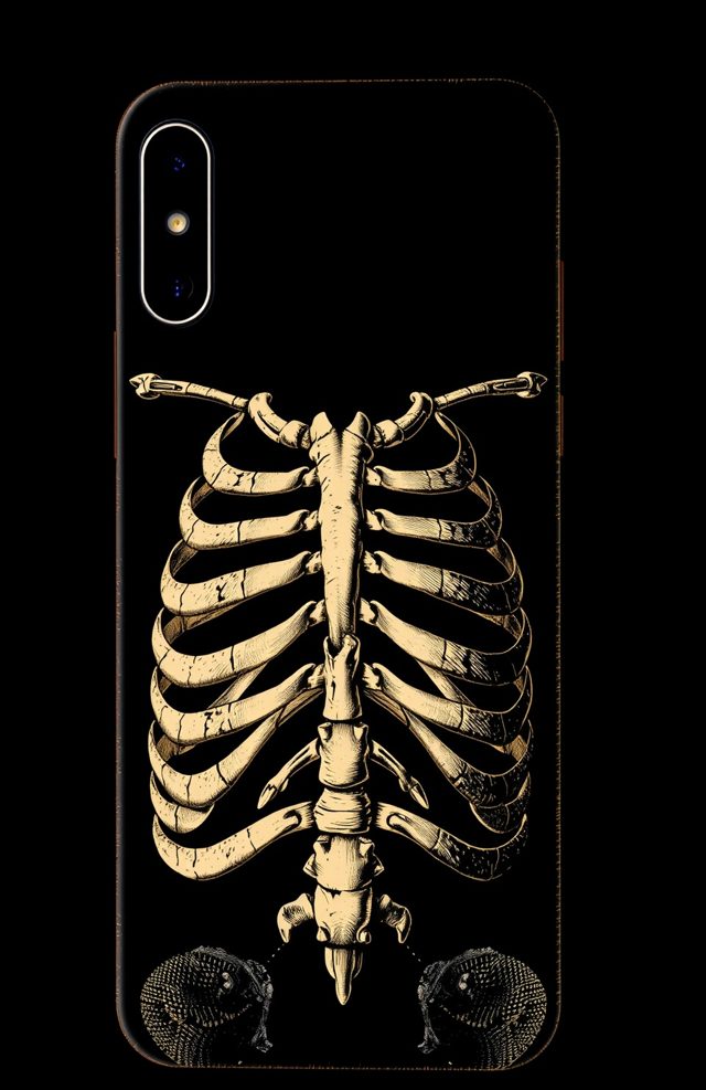Sternum and Ribs