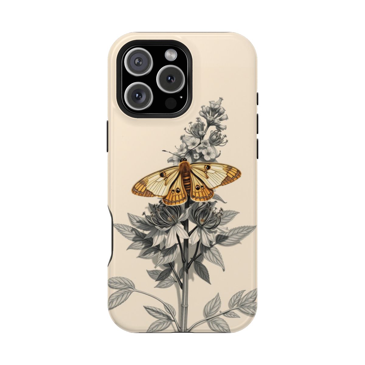 Moth on Hemlock